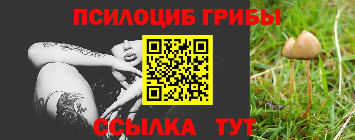 Галлюциногенные грибы Cubensis  как найти закладки  Красноармейск  Вход с VPN 